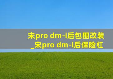 宋pro dm-i后包围改装_宋pro dm-i后保险杠